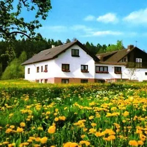 Gasthaus-pension Zum Brandweiher Hotel